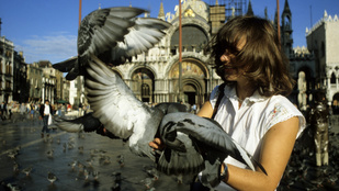 Thumbnail for 6784879