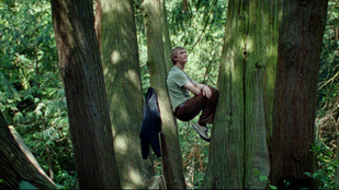 Thumbnail for 6785277