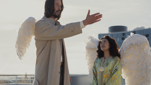 Thumbnail for 6785516