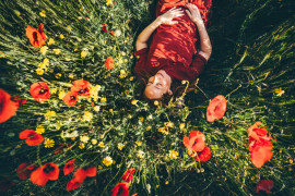 Thumbnail for 6785524