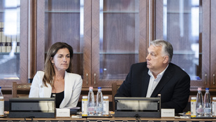 Thumbnail for 6787512