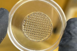 Thumbnail for 6788508