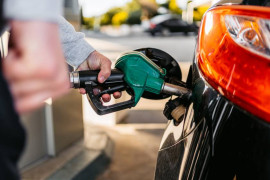 Thumbnail for 6789175