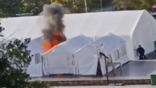 Thumbnail for 6789435