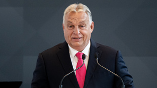 Thumbnail for 6790675