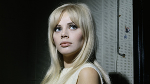 Thumbnail for 6790837