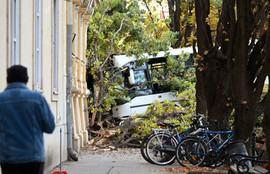 Thumbnail for 6790868