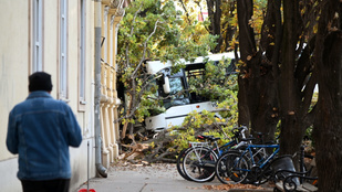 Thumbnail for 6790868