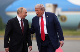 Thumbnail for 6790885