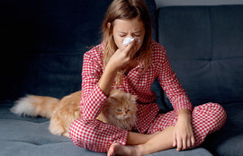 Thumbnail for 6792656