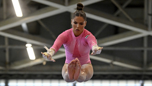 Thumbnail for 6792787