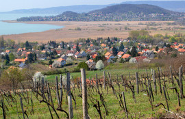 Thumbnail for 6793304