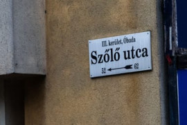 Thumbnail for 6794045