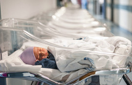 Thumbnail for 6794691