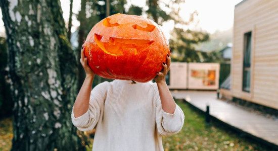 Thumbnail for 6795240