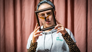 Thumbnail for 6795653