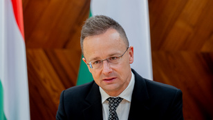 Thumbnail for 6795725