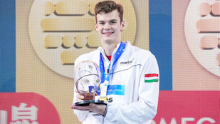 Thumbnail for 6795852