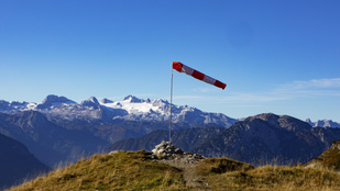 Thumbnail for 6795960