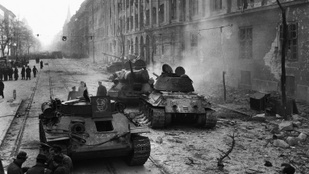 Thumbnail for 6795962