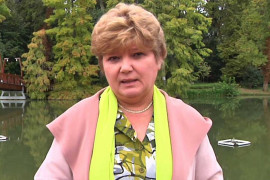 Thumbnail for 6796011