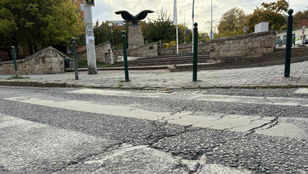 Thumbnail for 6796083