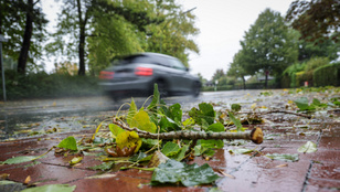 Thumbnail for 6797317