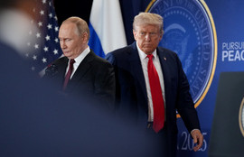 Thumbnail for 6797383