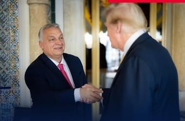 Thumbnail for 6797483