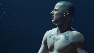 Thumbnail for 6797534