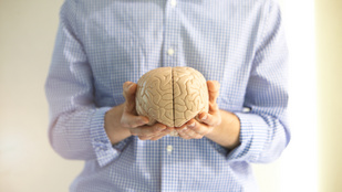 Thumbnail for 6797620