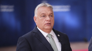 Thumbnail for 6797630