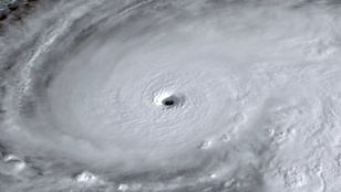 Thumbnail for 6797708