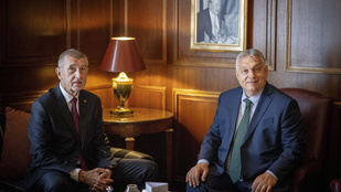 Thumbnail for 6797972