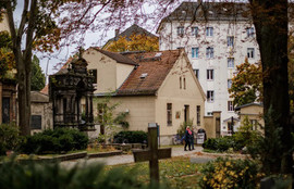 Thumbnail for 6797974