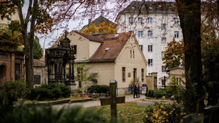 Thumbnail for 6797974