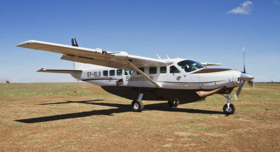 Thumbnail for 6797983