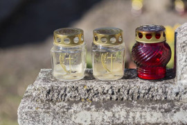 Thumbnail for 6798129