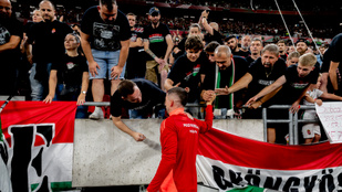 Thumbnail for 6798131