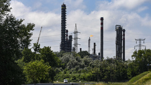 Thumbnail for 6798134