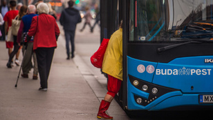 Thumbnail for 6798225