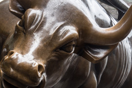 Thumbnail for 6798229