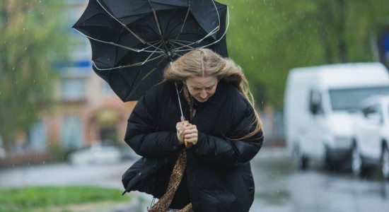 Thumbnail for 6798310