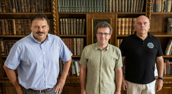 Thumbnail for 6798332