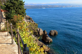 Thumbnail for 6798338