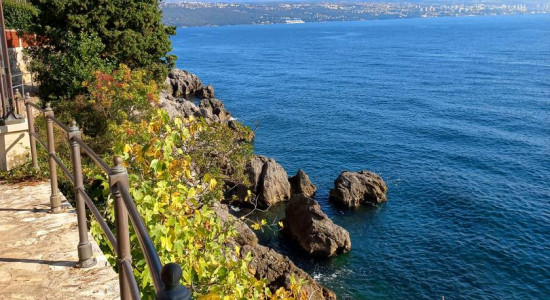 Thumbnail for 6798338