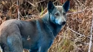 Thumbnail for 6798345