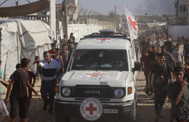 Thumbnail for 6798479