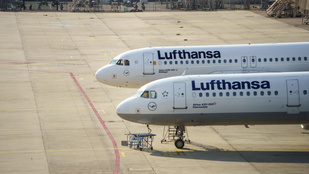 Thumbnail for 6798482