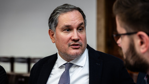 Thumbnail for 6798496